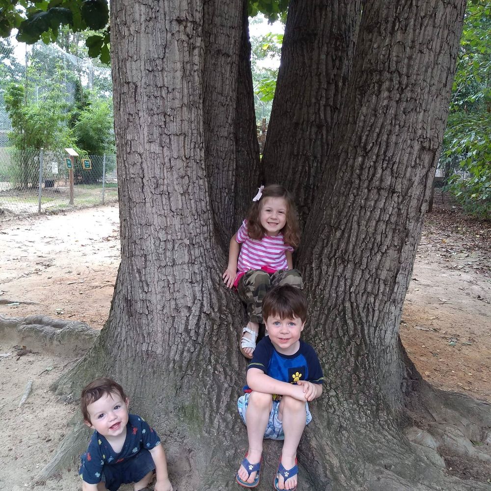 Meet your Posher, Carmen